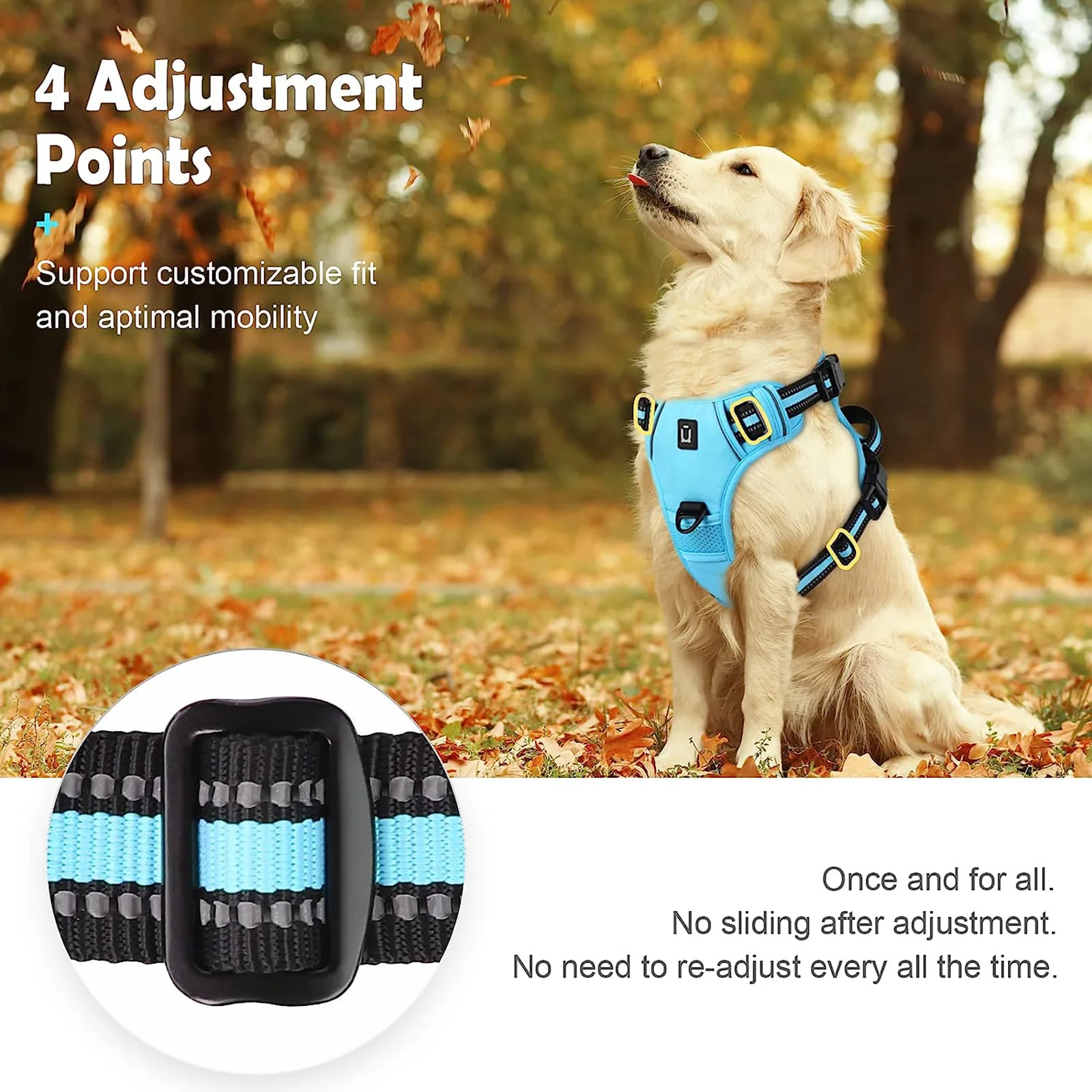 No Pull Dog Harness & Leash Set (2 Counts/set), Escape Proof Reflective Adjustable Pet Vest, Soft Padded Pet Harness with Handle for Small To Large Dogs - Image 4